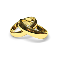 Women Clothing & Fashion